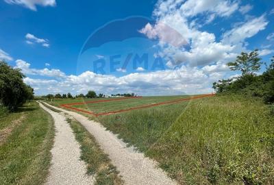 Teren agricol extravilan de 4350 mp, în Vasilați - 4