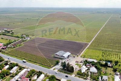 Oportunitate vie 54 ha la DN E85 - 18