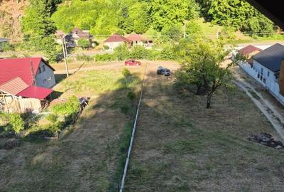 Ilba, casa caramida, 40 ari teren - 1