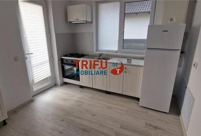 Casă de închiriat zona Ampoi - 17