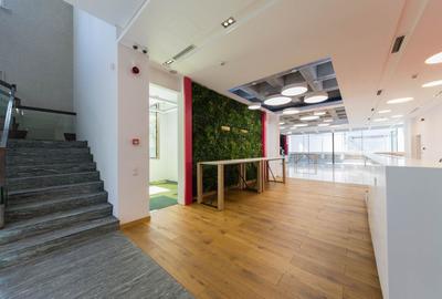 Vila Capo | Luxury offices 1800 mp | Dorobanti Capitale - 3