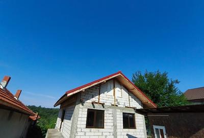 Casa P+M la gri de vanzare - Rasova, comuna Balesti - 7