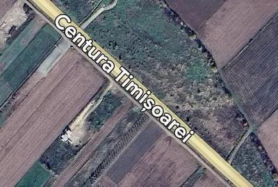 Inchiriez teren 2000 m2, centura Aeroport Timisoara - 1