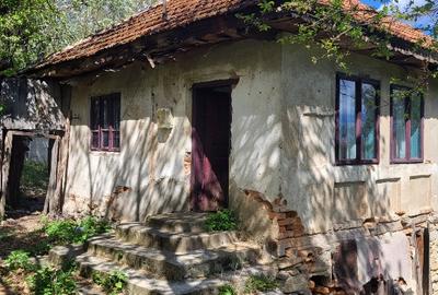 Vand 2 case batranesti Musetesti Gorj Vand 2 case batranesti Musetesti Gorj - 4