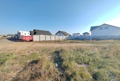 Cernica, Balaceanca ideal investitie Cernica, Balaceanca ideal investitie - 1