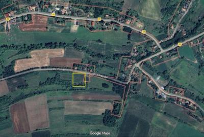 Teren de 2976 mp, în Țaga