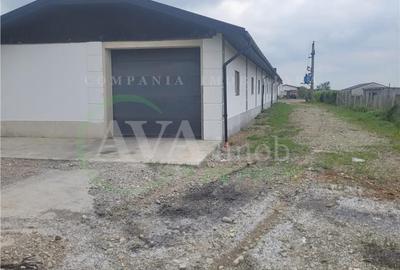 Spațiu comercial, de 370 mp, în Nicolae Bălcescu - 2