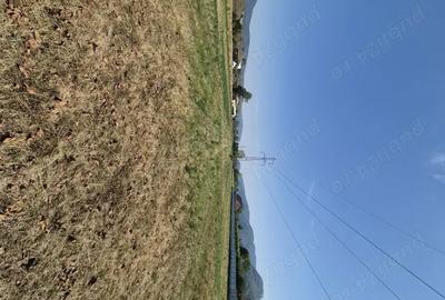 Teren de 3863 mp, în Vad - 5