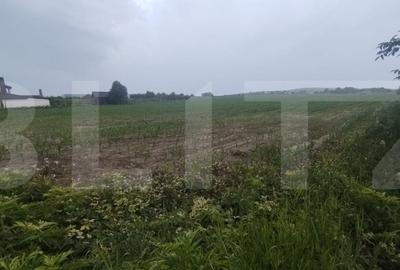 Teren de 7500 mp, în Orășeni-Vale - 1