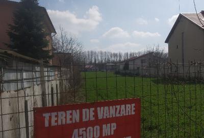 Teren 4515 mp in Domnesti Ilfov