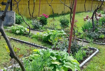 Casă cu 2 camere în Onești - 3