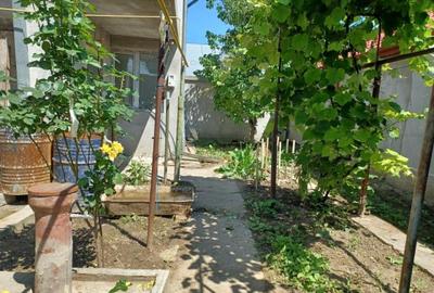 Casă cu 3 camere cu Canalizare în Apollo - 2