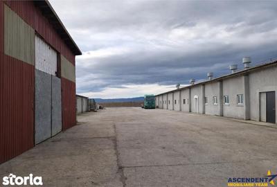 Spațiu comercial, de 400 mp, în Feldioara - 9