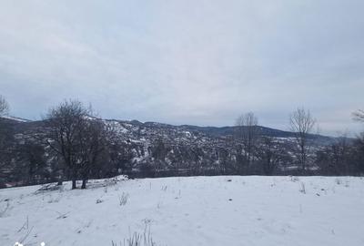 Casă cu 4 camere cu Teren 12000 Mp în Central - 8