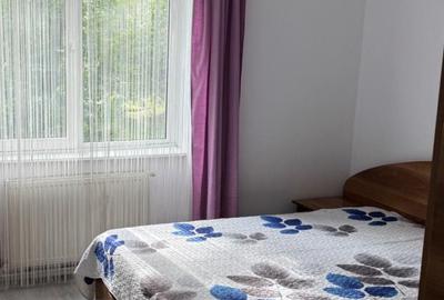 INCHIRIEZ APARTAMENT 2 CAMERE,ETAJ 1 MILEA/RAHOVEI - 5
