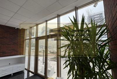 Spațiu comercial, de 47 mp, în Nicolina - 9