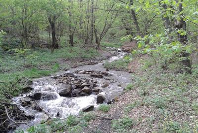 Teren Construcții intravilan de 5700 mp, în Râu de Mori - 8