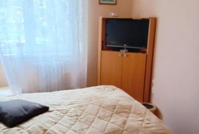 Apartament cu 2 camere semidecomandat, mobilat în Gojdu - 2