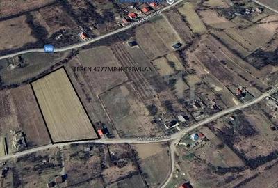 Teren de 4777 mp, în Bârnova - 3