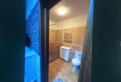 Brancoveanu luica berceni parter - 3