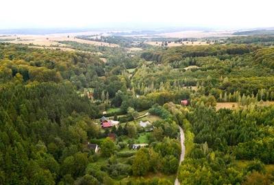 Casă individuală cu 4 camere cu Teren 2100 Mp în Vlădeni - 3