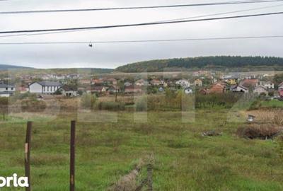 Teren de 3496 mp, în Chinteni