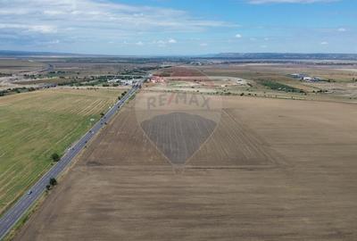 Teren agricol extravilan de 27500 mp, în Tișița - 5