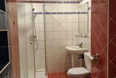 Apartament cu 4 camere decomandat în Traian - 14