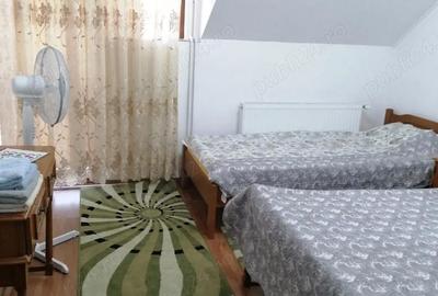 Casă cu 6 camere cu Teren 2118 Mp în Cenad - 2