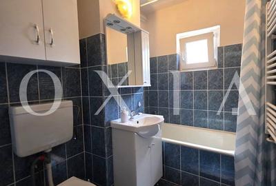 Apartament cu 2 camere semidecomandat, mobilat în Bucovina - 9