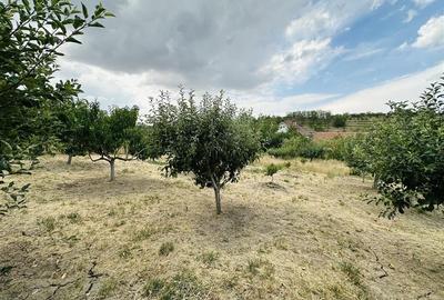 CASA P+M | TEREN 2200 MP | STRADA SOFIEI | ZONA DEALURI - 22