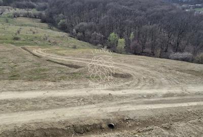 Teren extravilan de 500 mp, în Est - 3