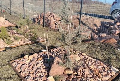 Casă cu Teren 600 Mp în Gară - 3