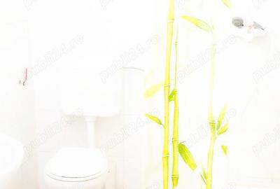 Cazare muncitori in elisabetin, zona apropiata de zona cal. sagului - 7