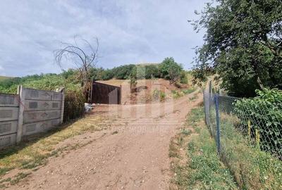 Teren intravilan intre Micesti si Sard - 1