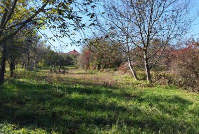 Somcuta Mare, casa D+P+1, 22 ari teren - 5