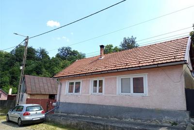 Anina, Sigismund, Casa 4 Incaperi, 1439mp Teren, ZERO Comisi - 18