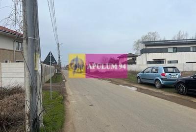 Teren Domnesti- Drumul Targului. - 3