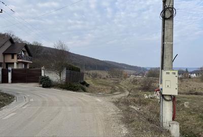 Teren de 600 mp, în Corunca - 3