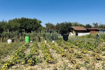 Teren Construcții intravilan de 6210 mp, în Apateu - 24