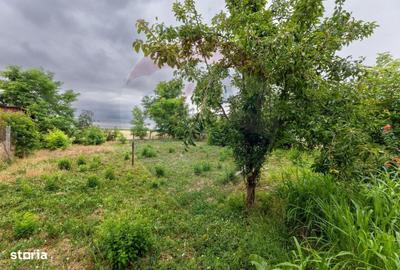 Teren de 1200 mp, în Iratoșu