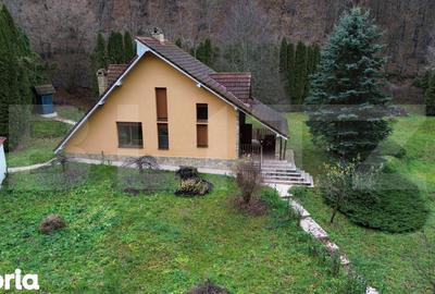 Casă cu 3 camere cu Teren 2500 Mp în Ighiu - 17