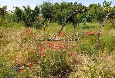 Exclusivitate -Valu lui Traian,Str. Tudor Arghezi nr. 5,teren intravilan 2.912mp - 8