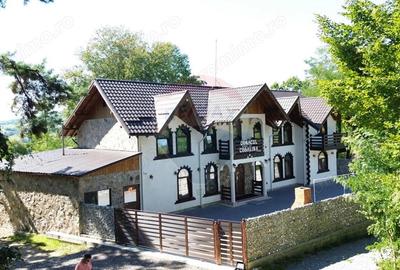 Pensiune de vanzare in Sovata Conacul Cosalina - 17