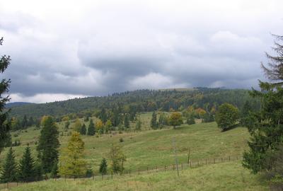 Predeal-Teren intravilan situat in Paraul Rece - 5