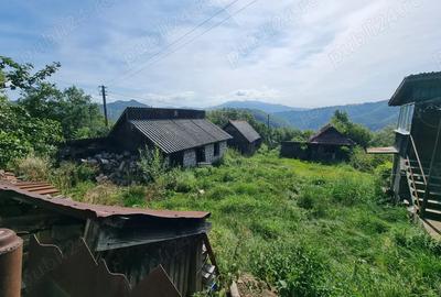 Casă cu 2 camere în Bănița - 3