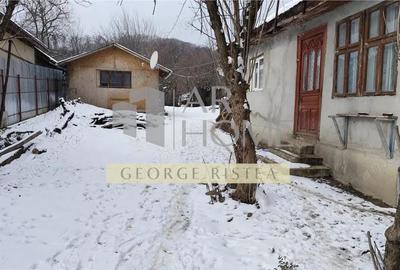 Casă cu Teren 3300 Mp în Poiana - 3