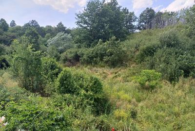 Resita, Terenuri Intravilane 2000 Mp., 28 Euro/Mp., Calea Ca - 15