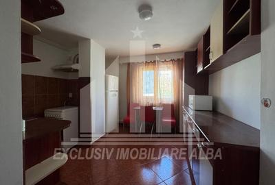 Apartament cu 3 camere semidecomandat, mobilat în Cetate - 3