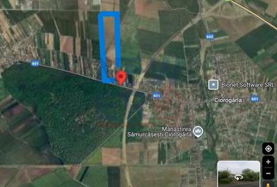 OPORTUNITATE -Teren de Vis la Marginea Padurii - 5000 mp in Ciorogarla